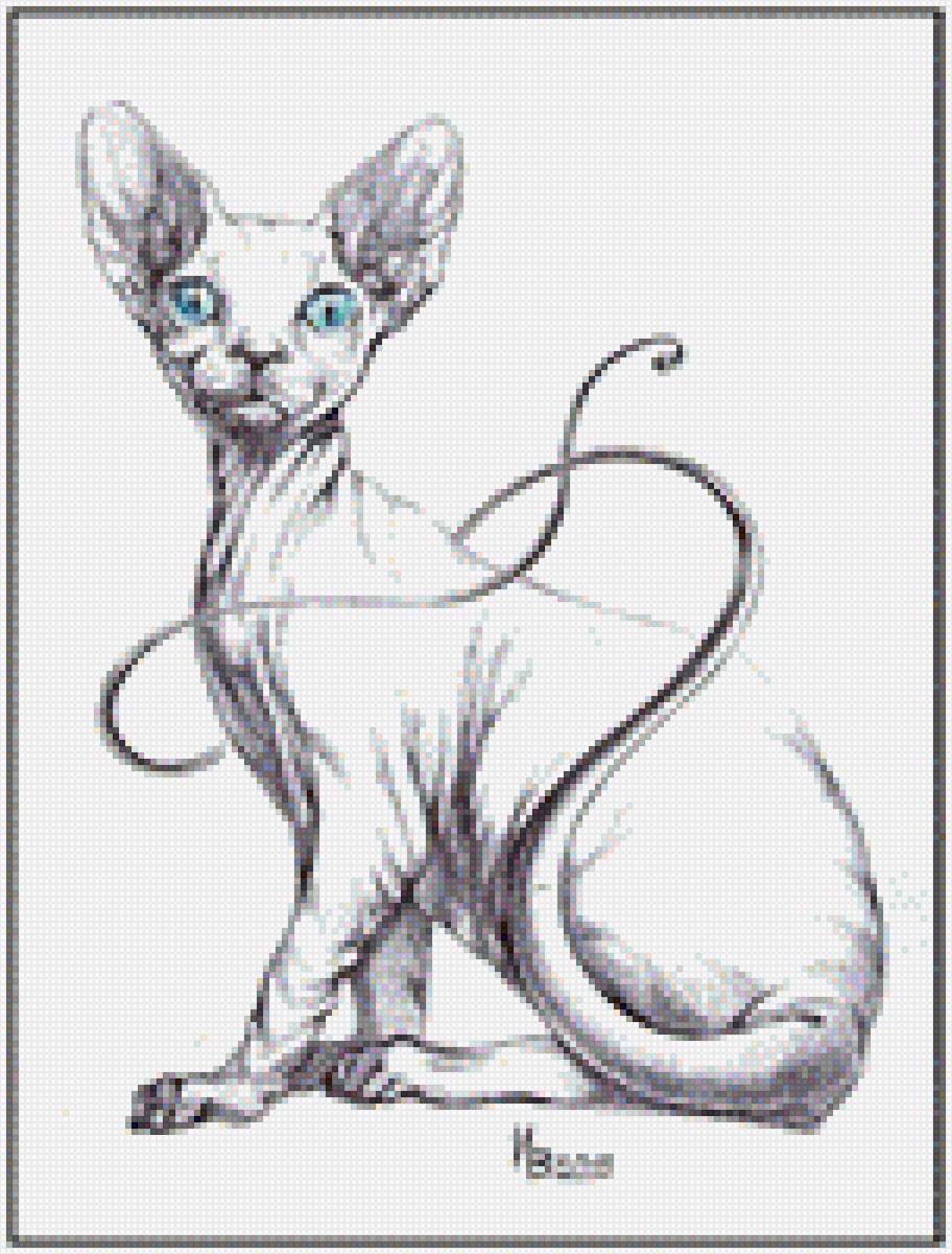 Марсик - кот сфинск - предпросмотр