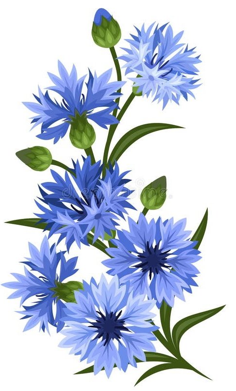 Васильки - оригинал