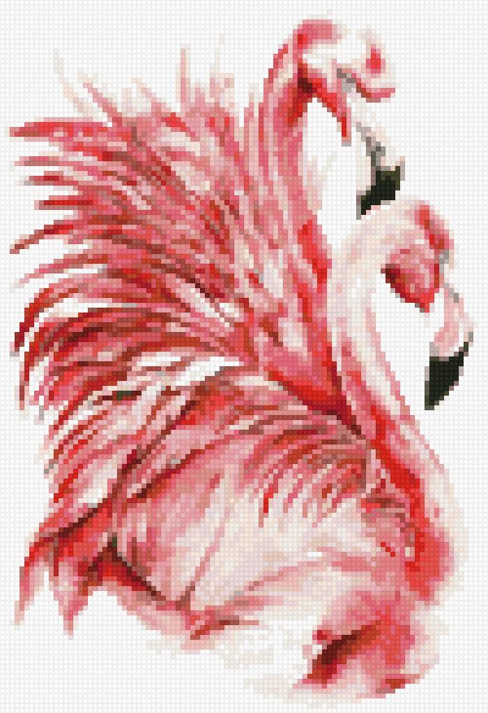 Пара фламинго - предпросмотр