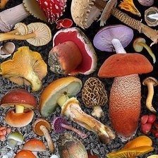 Схема вышивки «грибочки»