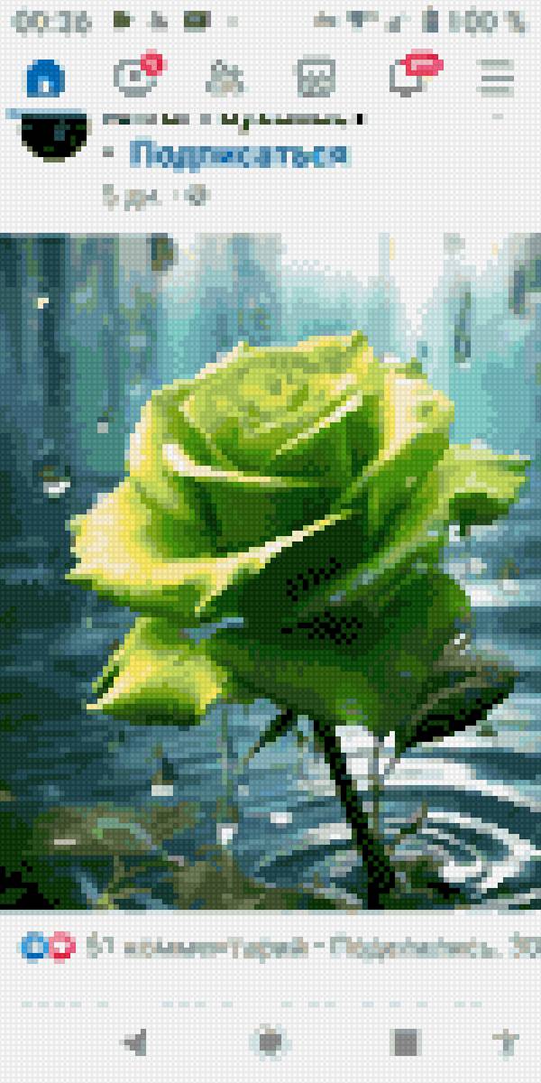 Зеленая роза - зеленая - предпросмотр