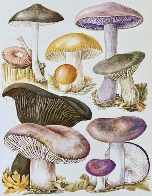 подушка грибочки - оригинал