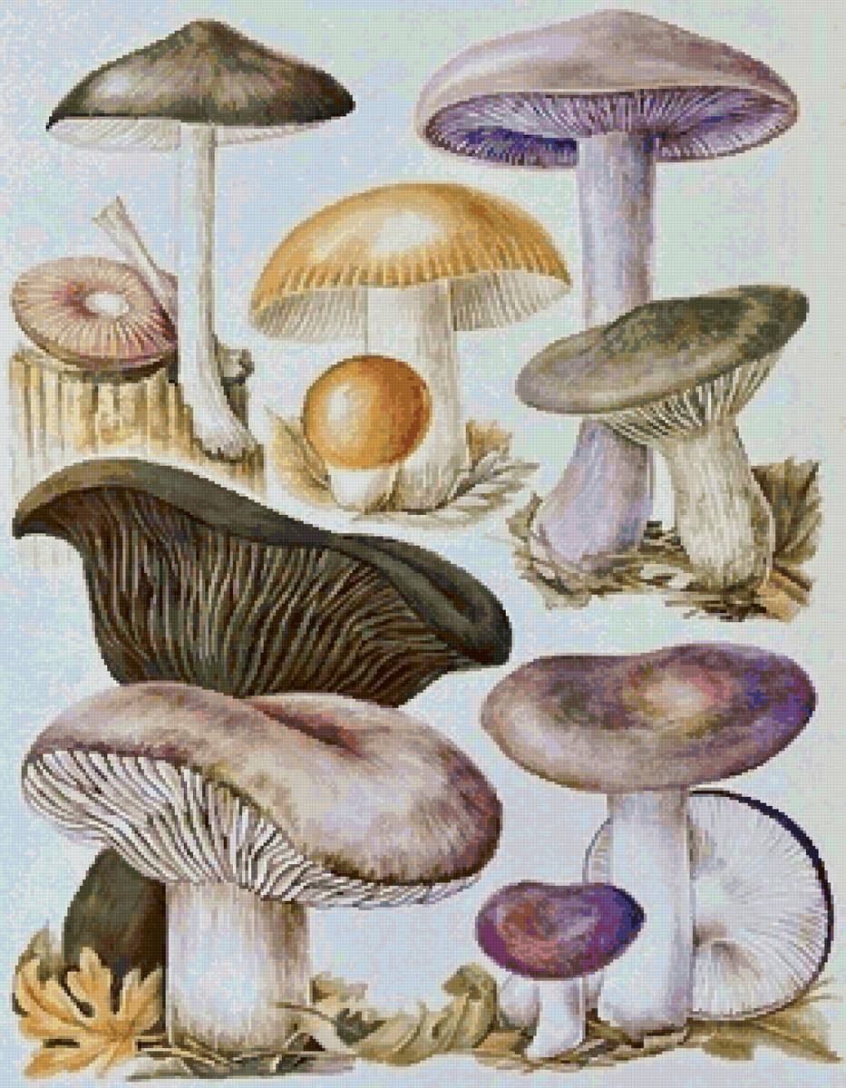 подушка грибочки - предпросмотр