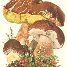 Схема вышивки «грибочки»