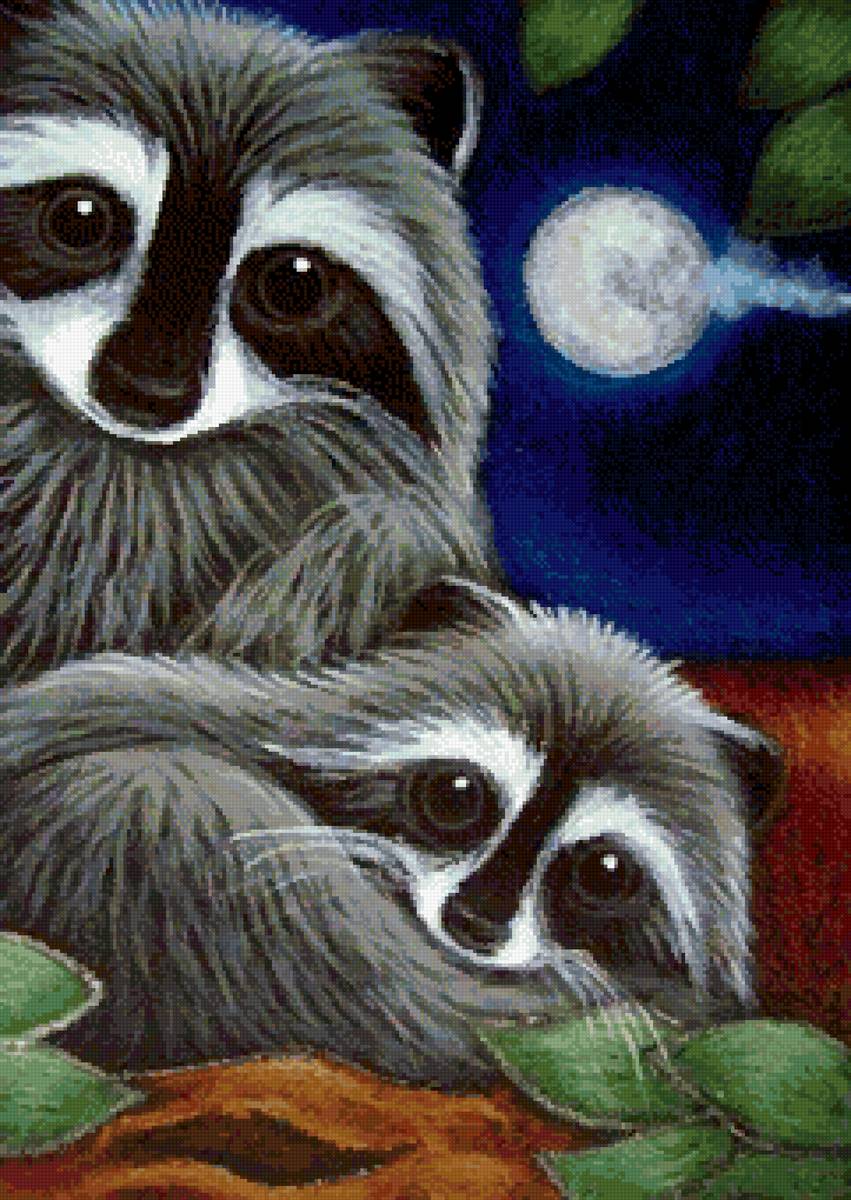 №2759280 - енот, звери - предпросмотр