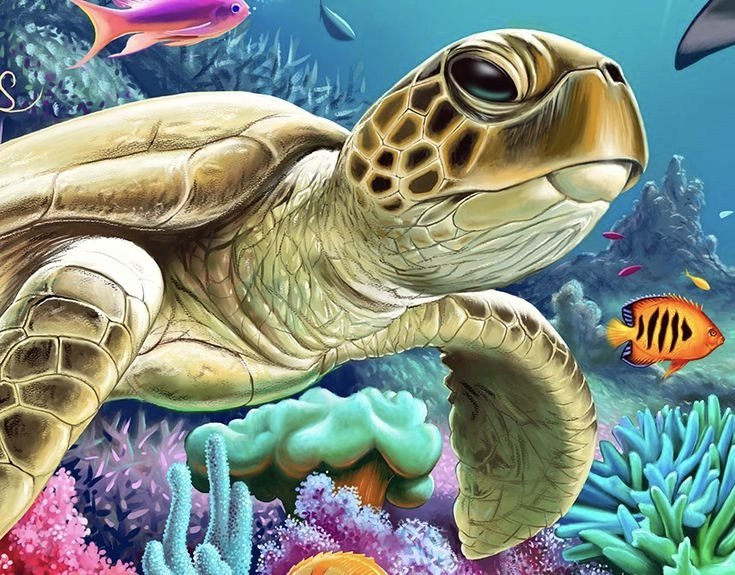 морской мир - подводный мир, черепаха, море - оригинал