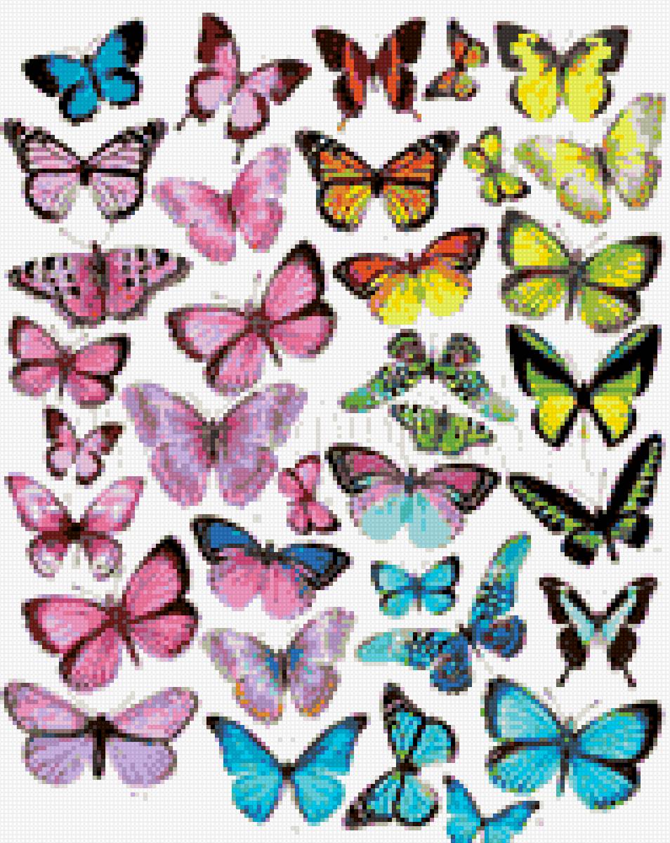 Бабочки - бабочки - предпросмотр
