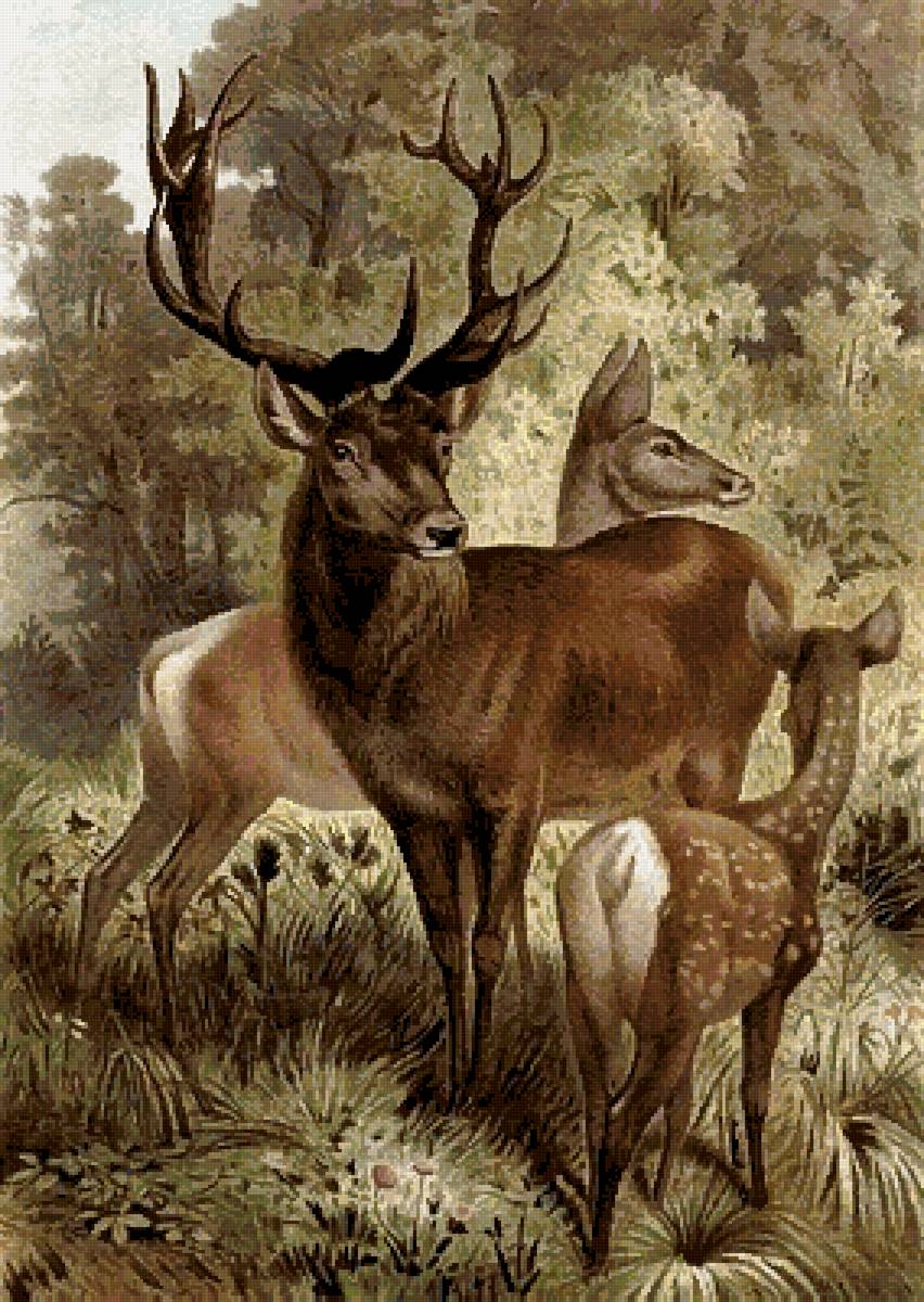 №2759491 - животные, олени, гобелен - предпросмотр