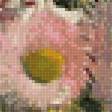 Предпросмотр схемы вышивки «Полевые цветы. Олле Хьёртсберг» (№2759953)