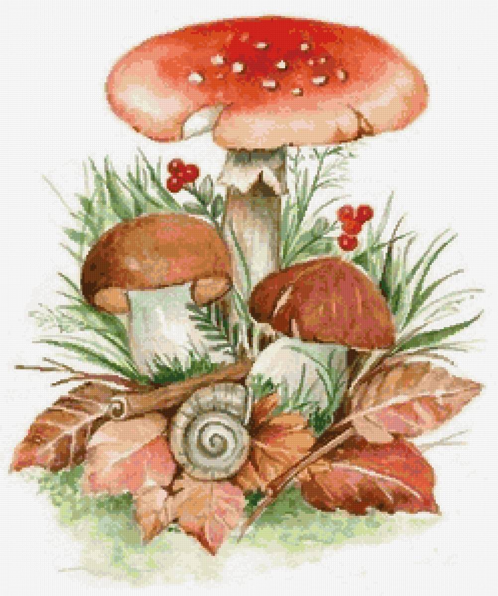 грибочки - предпросмотр