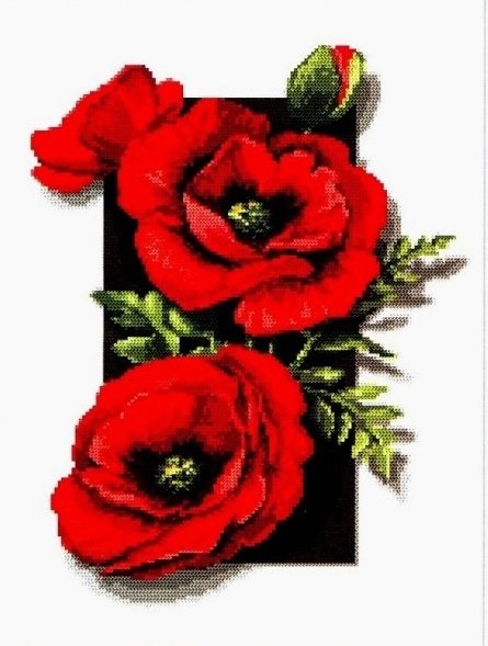 Маки - оригинал