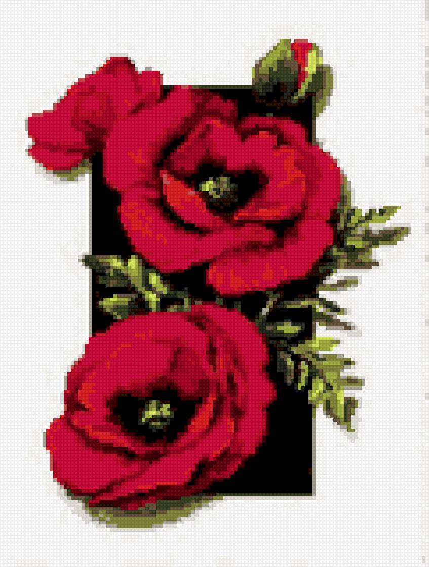 Маки - предпросмотр