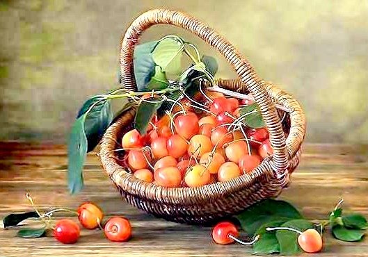 Cos cu cirese - natura - оригинал