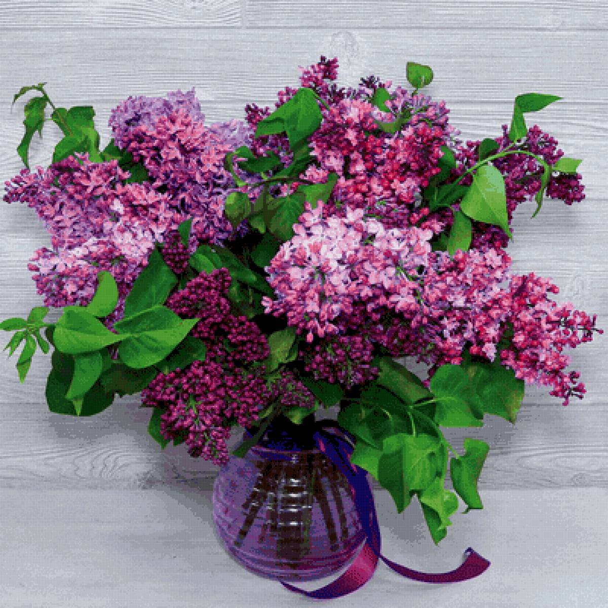 Сирень - предпросмотр