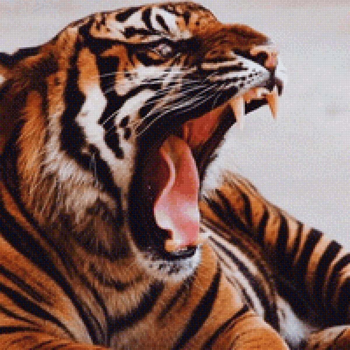 тигр - рык, тигр - предпросмотр