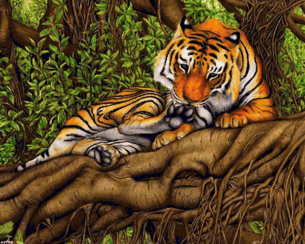 Тигрица - тигр - предпросмотр