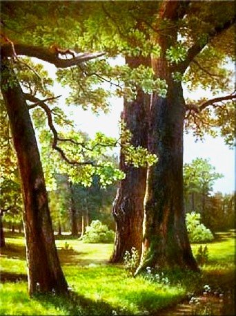 Три дуба - жара, лето - оригинал