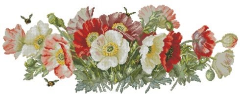 Маки - цветы - оригинал