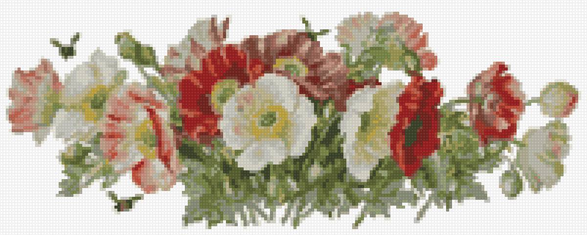 Маки - цветы - предпросмотр