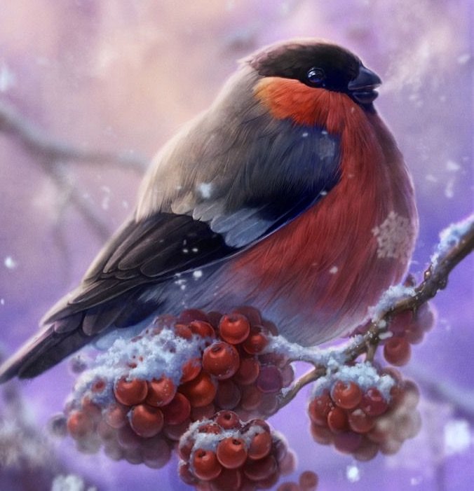 снегирь - птицы, снегири - оригинал