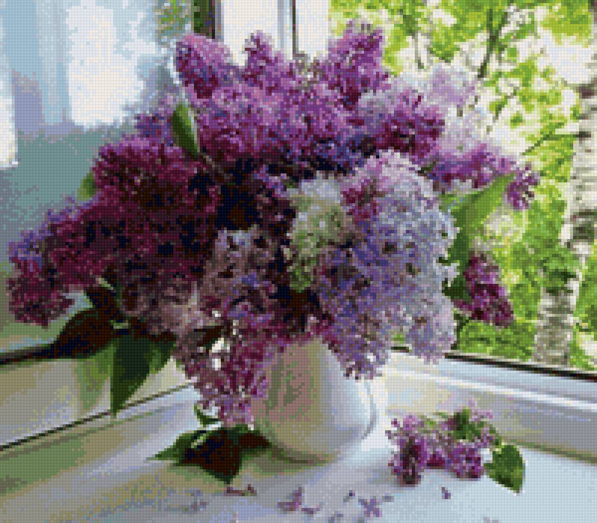 сирень - сирень - предпросмотр