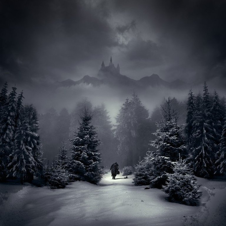 Зимняя ночь - монохром, зима, ночь - оригинал