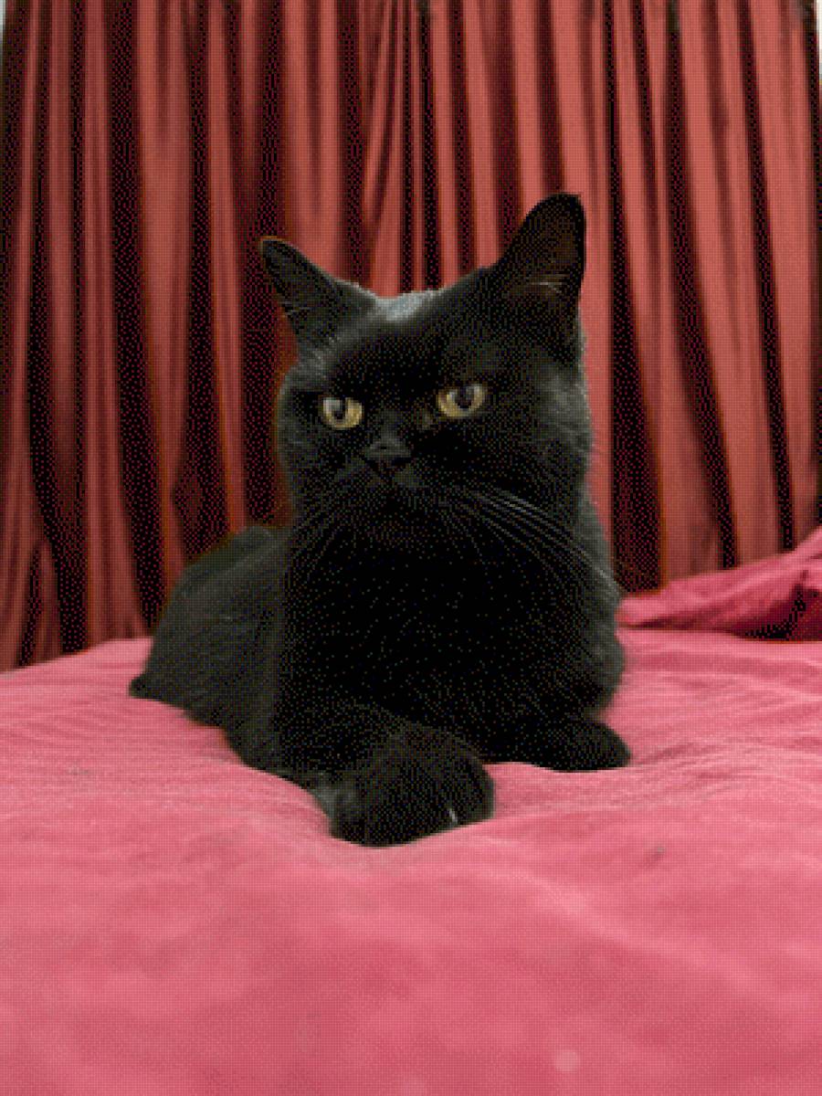 самая сладкая булочка на свете - предпросмотр