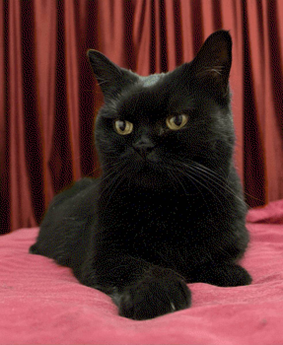 масюнечка - предпросмотр