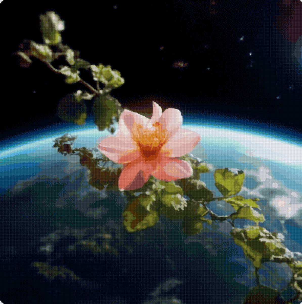 №2763478 - предпросмотр