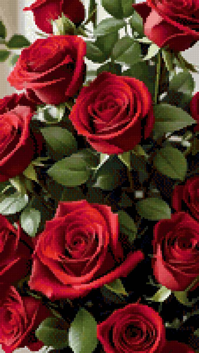 №2763544 - розы, красные, цветы - предпросмотр