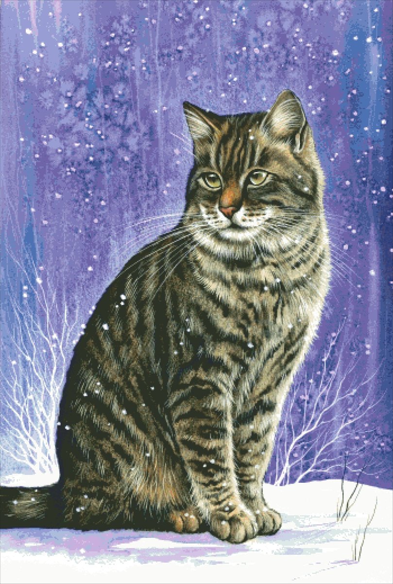 Кот зимой - коты - оригинал
