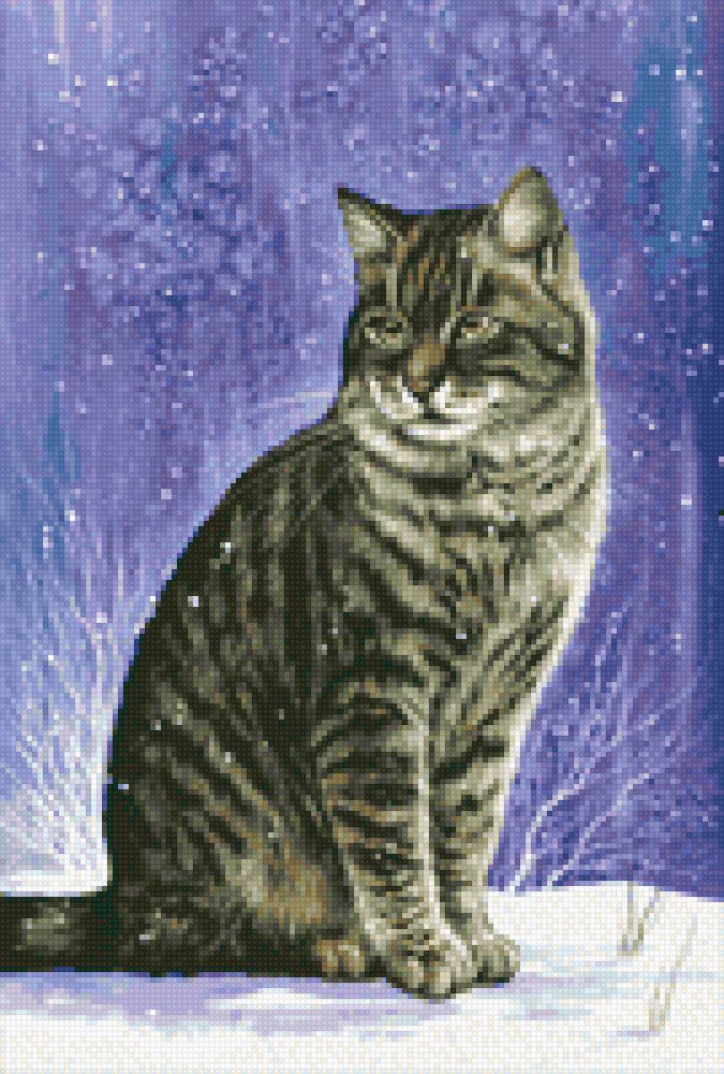 Кот зимой - коты - предпросмотр