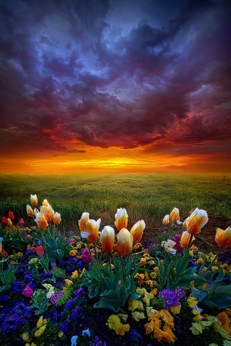 Рассвет в поле - оригинал