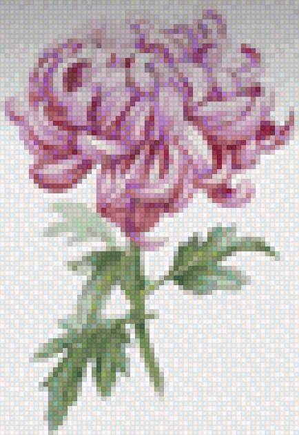 Одиночный пион - пион - предпросмотр