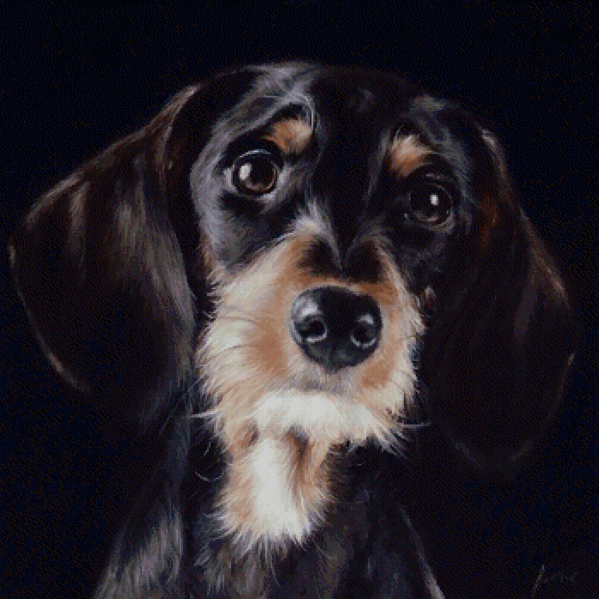 №2763837 - собака - предпросмотр