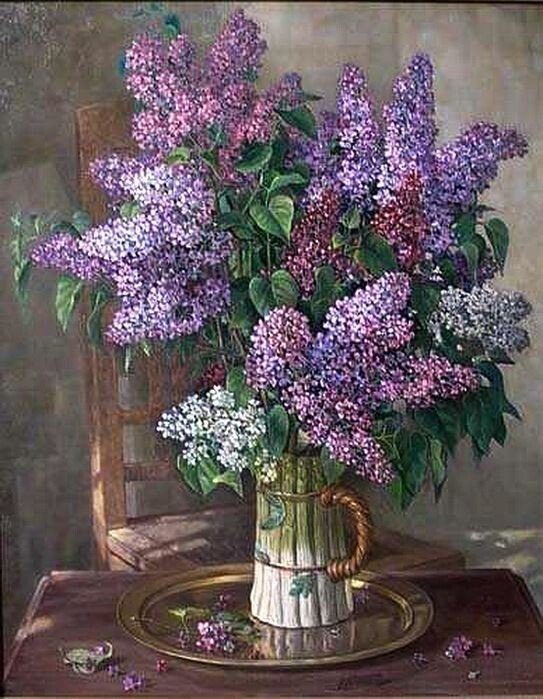 сирень - сирень - оригинал