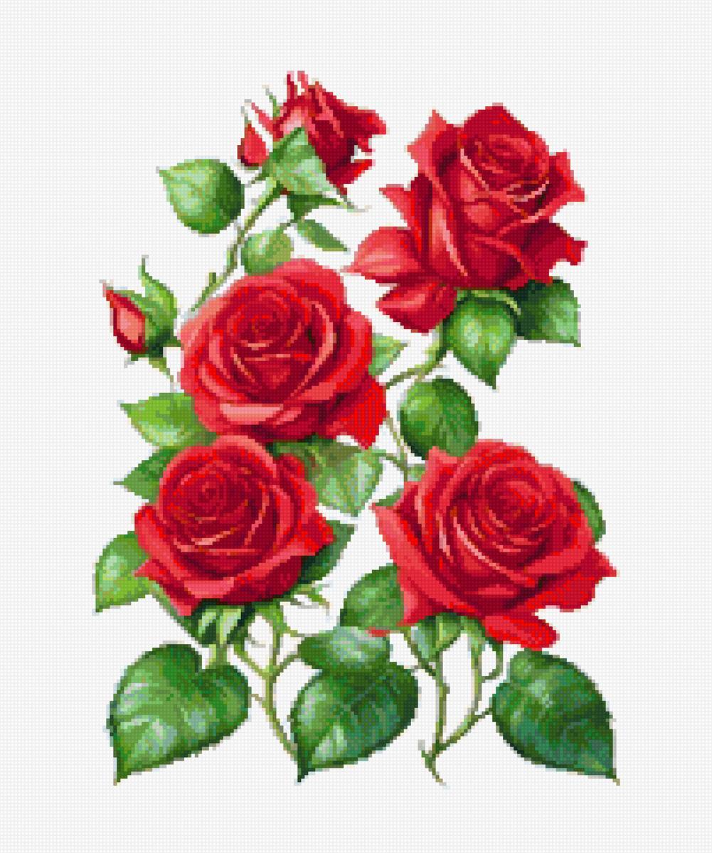 flores con vida - предпросмотр