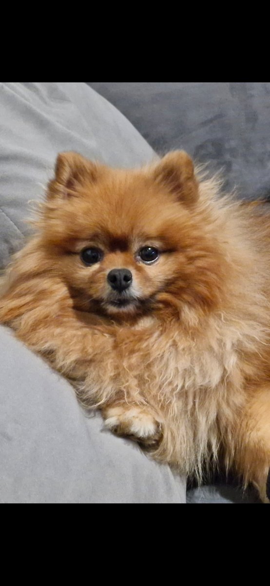 Уля - оригинал