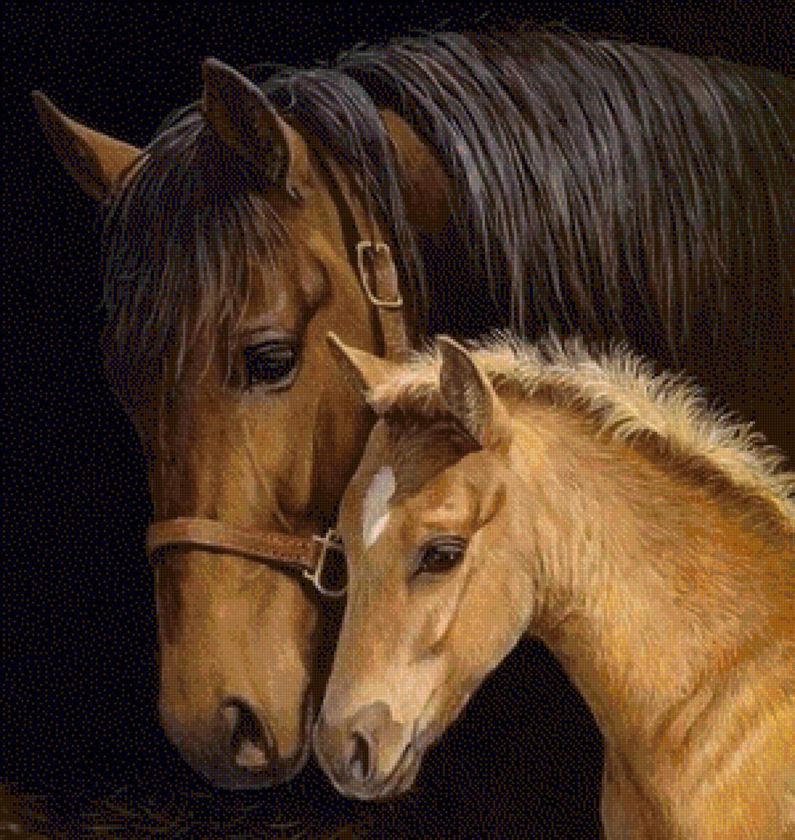 CABALLO Y POTRO DMC - предпросмотр