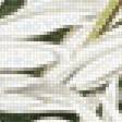 Предпросмотр схемы вышивки «Ромашки )» (№2766483)