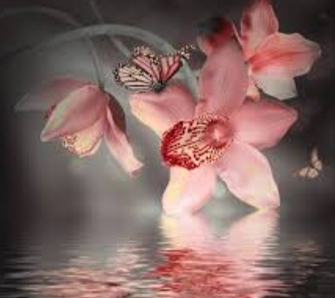 Орхидея - орхидея - оригинал