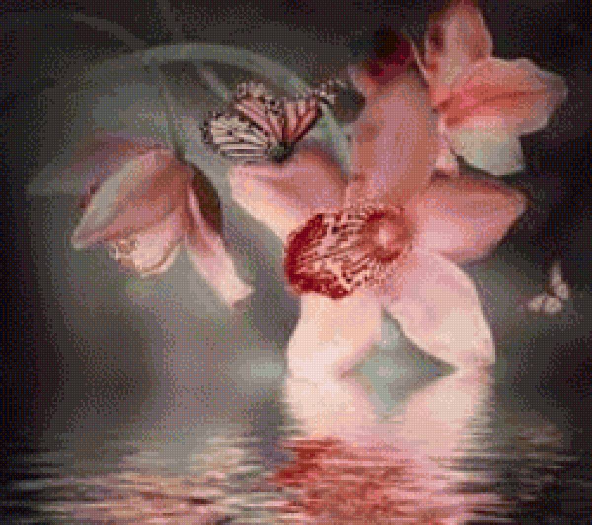 Орхидея - орхидея - предпросмотр