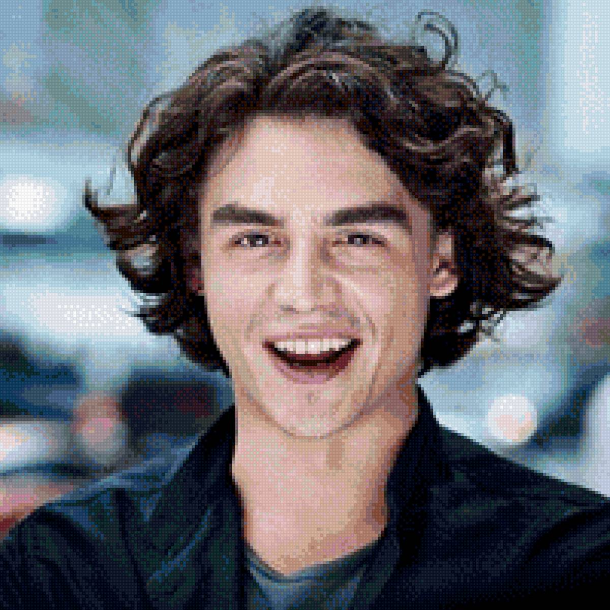 Французский актер - пьер перрье - предпросмотр