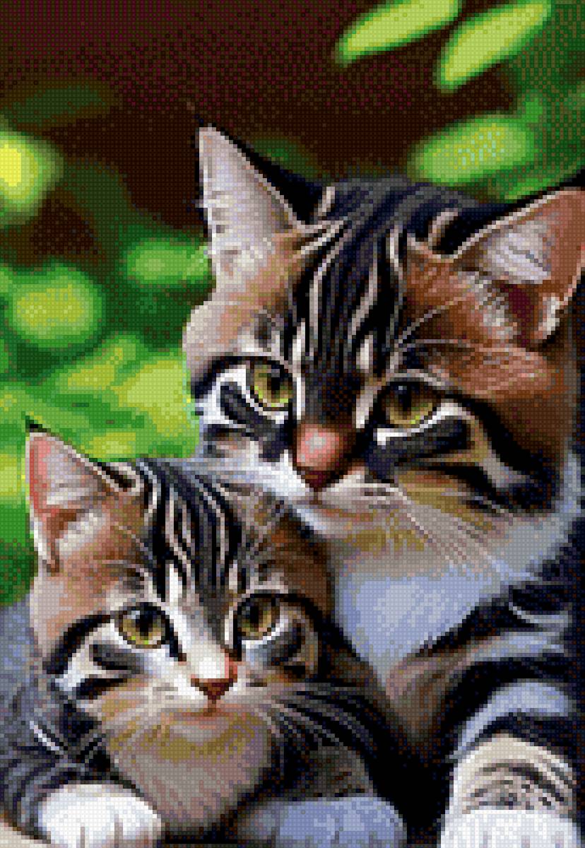 Кошки Табби - предпросмотр