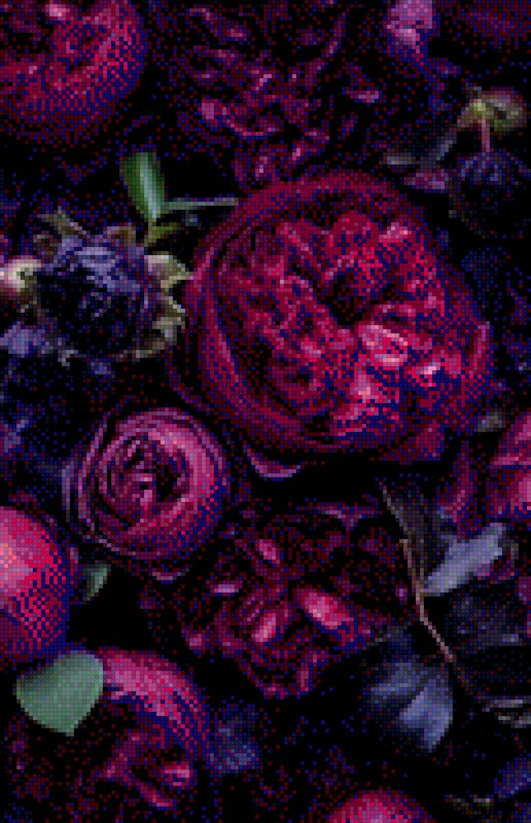 Пионы, фиолетовый, фиолетовые пионы, цветы - предпросмотр