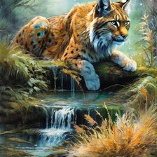 Рысь у воды