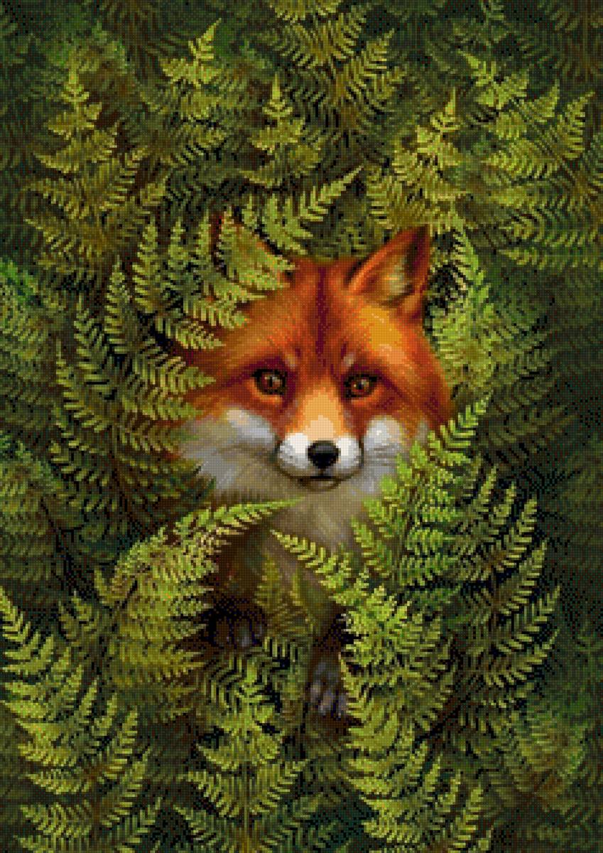 Лиса в засаде - дикие животные, лиса - предпросмотр