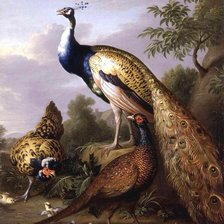 Схема вышивки «00777454»