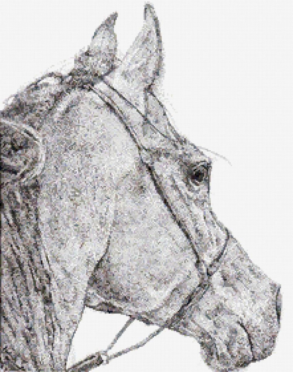 №2769438 - конь, лошадь, рисунок - предпросмотр