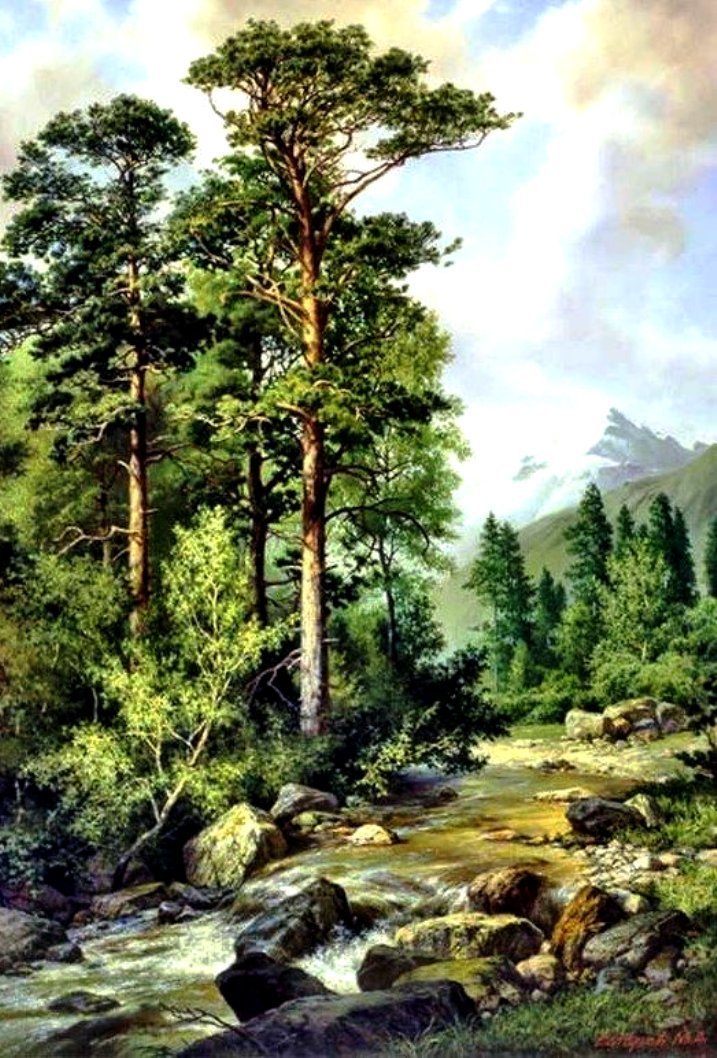 Сосновый бор у реки. - сосны, лес, лето, камни, река - оригинал